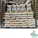 Thumbnail 2 of ลำไย ข้าวขาวนาปีแท้100% คัดพิเศษ นครราชสีมา เมล็ดสวย หุงเคี่ยว ขึ้นหม้อ ได้ปริมาณ เย็นแล้วนุ่มนวล อุ่นกี่ครั้งก็อร่อยเหมือนเดิม ขนาด 40 กก. *พร้อมจัดส่งทันที