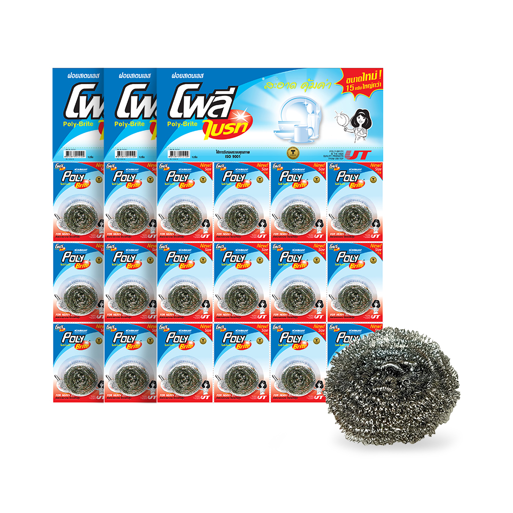 Poly-Brite Stainless Steel Scourer 15g, 12 Pieces per Card (3 Cards)