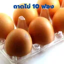 Thumbnail 3 of ถาดใส่ไข่ 10 ฟอง ถาดไข่พลาสติก 1 ลัง 400 ชิ้น