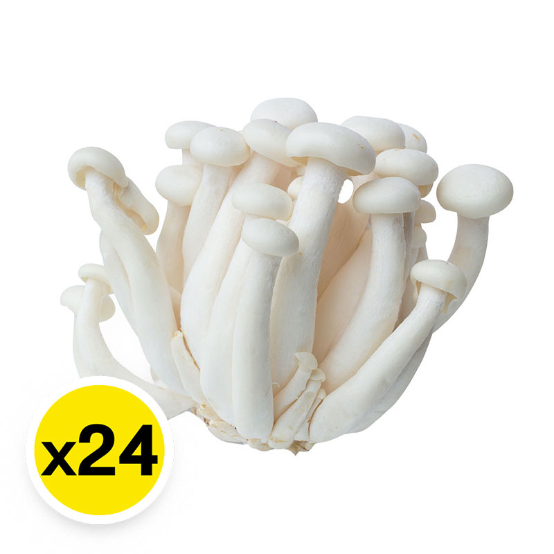 White Shimeji Mushroom 400 g x 24