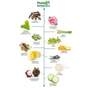 Thumbnail 4 of แพรอท สบู่พฤกษานกแก้ว พฤกษานานาพรรณ สีเขียว 105 ก. x 24