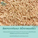 Thumbnail 3 of ประชา ข้าวกล้องหอมมะลิแท้100% คัดพิเศษ กลิ่นหอมเหมือนดอกมะลิจากธรรมชาติ หุงง่าย ทานอร่อย มีไฟเบอร์และวิตามินสูง ขนาด 5 กก.