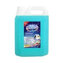 Thumbnail 1 of MERFECT GLASS CLEANER 5 L
เมอร์เฟค กลาส คลีนเนอร์ 5 ลิตร