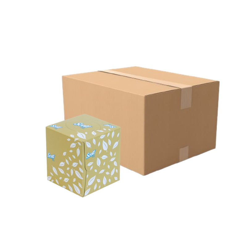 SCOTT Facial Tissue 2 Ply 20.6 x 21.1 cm 60 Sheets x 192