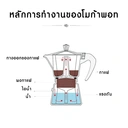 Thumbnail 3 of LZA โมกาพอท Moka pot ขนาด 3 คัฟ ลายไทย