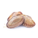 Thumbnail 3 of ARO Frozen Whole Baby Clam (Size 100-120 pcs/kg) 1 kg
