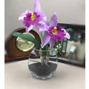 Thumbnail 4 of แจกันดอกไม้ แจกันแต่งบ้านสไตล์นอร์ดิก แจกันแก้วใสทรงแบน SBO-L