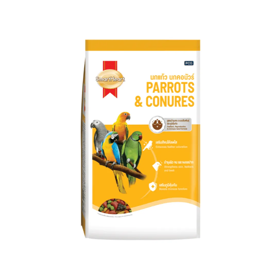product-main-image