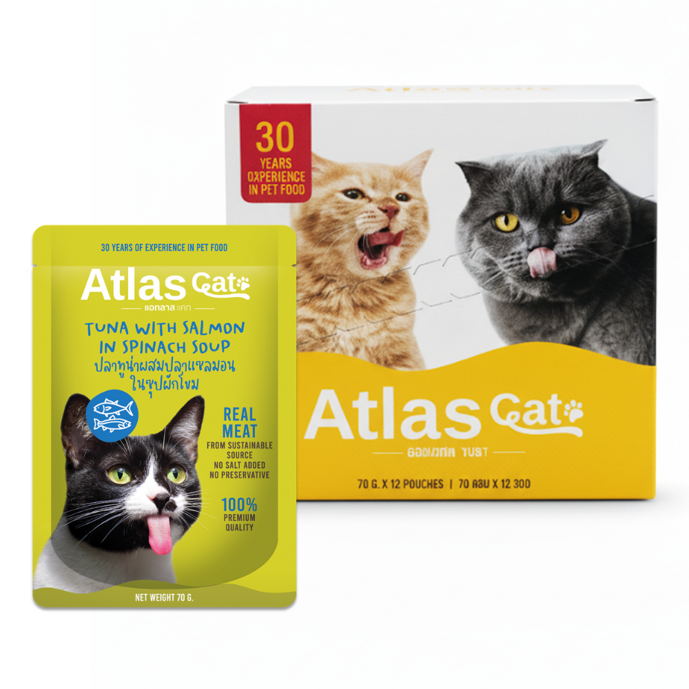 ATLAS CAT TUNA WITH SALMON IN SPINACH SOUP (70G.) x 12