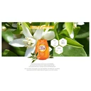 Thumbnail 2 of LUNE DE MIEL Spanish Orange Blossom Honey Fruity Sweetness with Citrus Scent (Made in France) 250g x 2 bottles