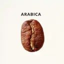 Thumbnail 3 of ฟอนทาน่า กาแฟคั่วบด ไฮแลนด์ อาราบิก้า 100% 500 ก.