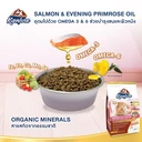 Thumbnail 5 of คานิว่า อาหารแมว สำหรับแมวแม่แมวและลูกแมว 3 สัปดาห์ถึง1 ปี สูตรเนื้อไก่ ปลาแซลมอนและข้าว ขนาด 370 ก.