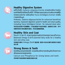 Thumbnail 3 of สมาร์ทฮาร์ท อาหารสุนัข ลูกสุนัขพันธุ์เล็ก 8กก.