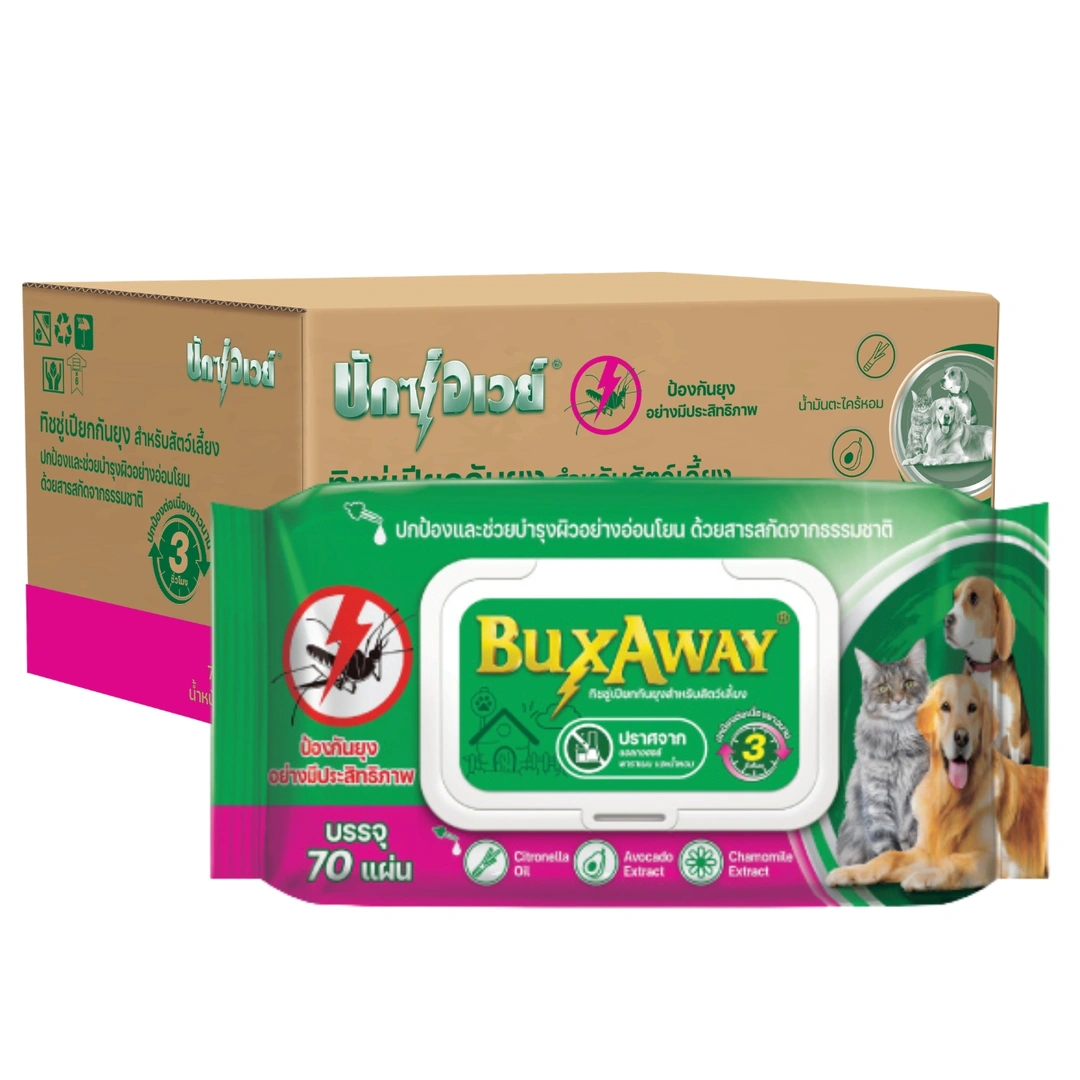product-main-image