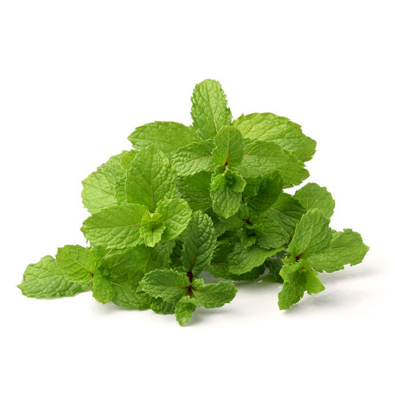 Mint Leaf 100 g | seo.title | Makro PRO