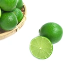 Thumbnail 2 of มะนาวแป้น (แป้นพิจิตร) 400 ชิ้น