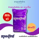 Thumbnail 1 of ข้าวลานนาไทย ข้าวหอมคัดพิเศษ น้ำหนัก 5 KG.