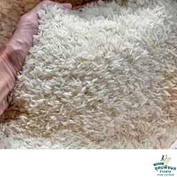 Thumbnail 4 of มีดีขาว ข้าวหอมมะลิใหม่อย่างดี จากสุรินทร์ นุ่มนวล หอมกรุ่น ย่อมเยา เมล็ดสวย ทานอร่อย ขนาด 15 กก.