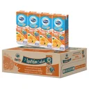 Thumbnail 1 of โฟร์โมสต์ โอเมก้า โยเกิร์ตพร้อมดื่มยูเอชที รสส้ม 170 มล. x 48 กล่อง