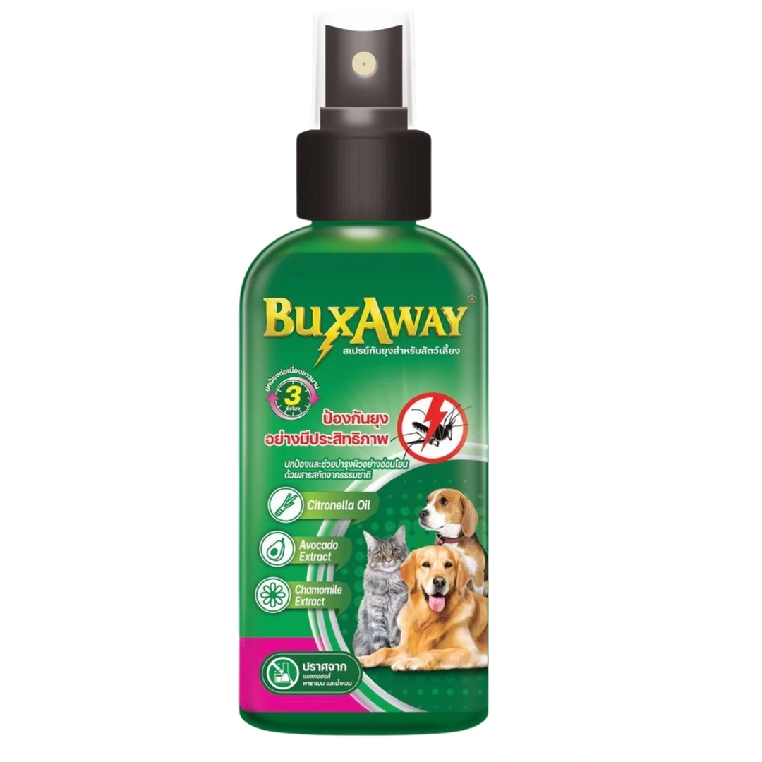product-main-image