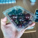 Thumbnail 4 of Matapat กล่องใส่ผลไม้เจาะรู (500กรัม = 50 ใบ) กล่องใส่ผลไม้ กล่องใส่ทุเรียน กล่องใส่อินทผาลัม