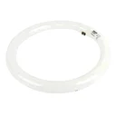 Thumbnail 3 of ฟิลิปส์ หลอดไฟนีออนกลม 32 วัตต์ แสงสีขาว