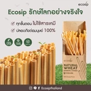 Thumbnail 3 of Ecosip หลอดลำข้าวสาลี หลอดจากธรรมชาติ Natural wheat straw ขนาด 20 ซม. x 500 หลอด (500 หลอด/กล่อง)
