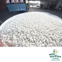 Thumbnail 3 of ช้างมงกุฎ ข้าวเหนียวใหม่ สันป่าตอง เชียงใหม่ ฤดูกาลใหม่เอี่ยม เหนียวนุ่ม หอมอร่อย ขนาด 45 กก. * พร้อมจัดส่งทันที