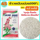 Thumbnail 1 of กล้วยไม้ ข้าวเหลืองอ่อน100% คัดพิเศษ หุงขึ้นหม้อ ได้ปริมาณ เต็มเมล็ด ขนาด 45 กก. ตรา กล้วยไม้ *พร้อมจัดส่งทันที