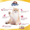 Thumbnail 2 of คานิว่า อาหารแมว ชนิดเปียก สูตรแม่แมวและลูกแมว แบบกระป๋อง ขนาด 170 ก. x 24