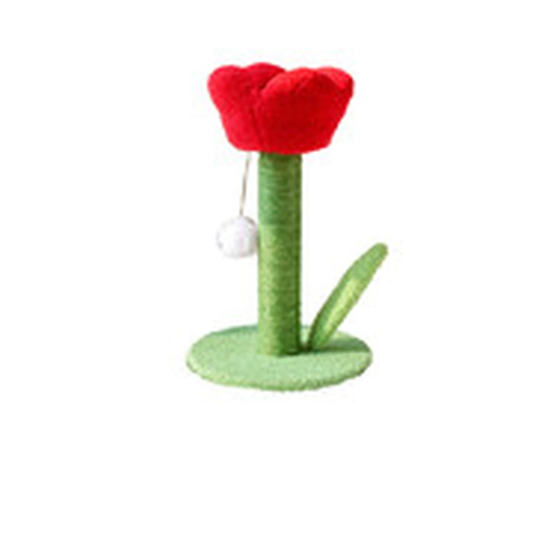 product-main-image