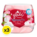 Thumbnail 2 of เกลด อีลีท เจล แม่ริมโรส 180 ก. x 3