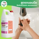 Thumbnail 3 of MostClean สบู่หอมล้างมือ Probac 3800 มล. ยับยั้งแบคทีเรีย กลิ่มหอมติดนานตลอดวัน หยดเพียงเล็กน้อยก็สะอาด สบู่ล้างมือแกลลอน
