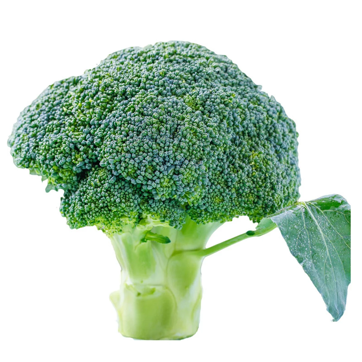 Imported Broccoli 1 kg
