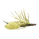 Thumbnail 4 of Cocugar น้ำตาลมะพร้าวออร์แกนิก ชนิดเกล็ด 450 กรัม แพ็ค 3