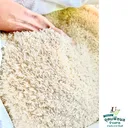 Thumbnail 4 of ส้มโอ ข้าวหอมมะลิแท้กลางปี100% จากสุรินทร์ ของแท้ ตัวแทนขายโดยตรงจากโรงสี หอม อร่อย นุ่ม หุงได้ปริมาณ มาตรฐานส่งออก ขนาด 40 กก.