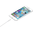 Thumbnail 2 of Apple Lightning to USB Cable (1m)