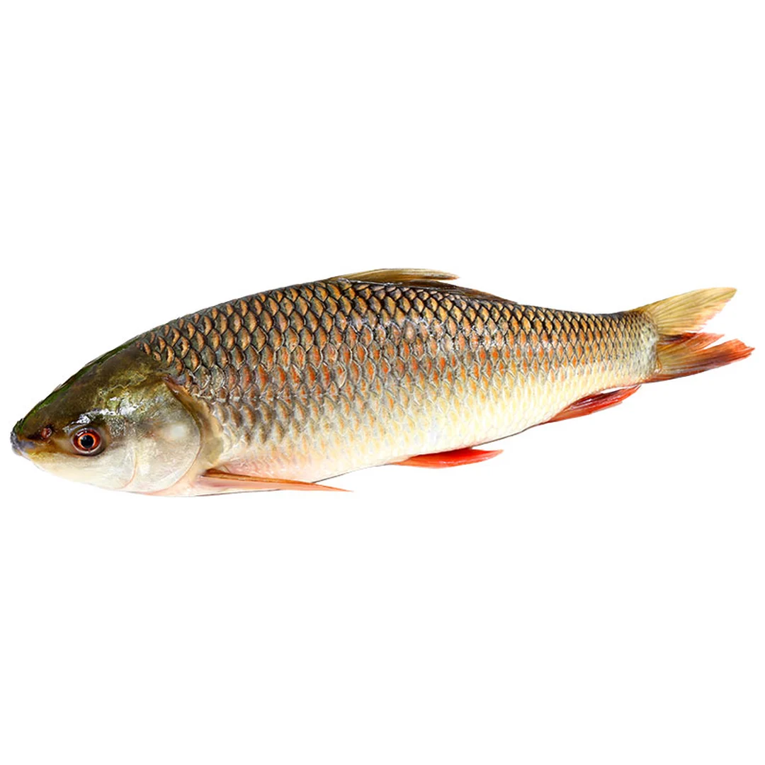 product-main-image