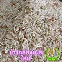 Thumbnail 2 of ตราสิงห์ ข้าวกล้องหอมมะลิ สุรินทร์ จมูกข้าวสมบูรณ์ ปลอดสาร 5 กก. แพ็ค 1 ถุง