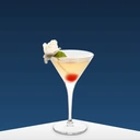 Thumbnail 3 of Marie Brizard น้ำเชื่อม Marie Brizard Elderflower 700 ml