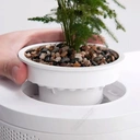 Thumbnail 4 of ตู้ปลาขนาด 8 ลิตร + กล่องป้อนอาหารอัจฉริยะ เชื่อมต่อแอพให้อาหารปลาได้ สีขาว