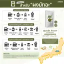 Thumbnail 2 of SYNOVA ผงเครื่องดื่มมัทฉะ Matcha Powder 100% 250 กรัม