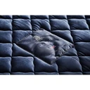 Thumbnail 2 of Dunlopillo ที่นอน รุ่น Martin ขนาด 5 ฟุต