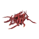 Thumbnail 2 of พริกจินดาแห้ง เด็ดก้าน 500 ก.