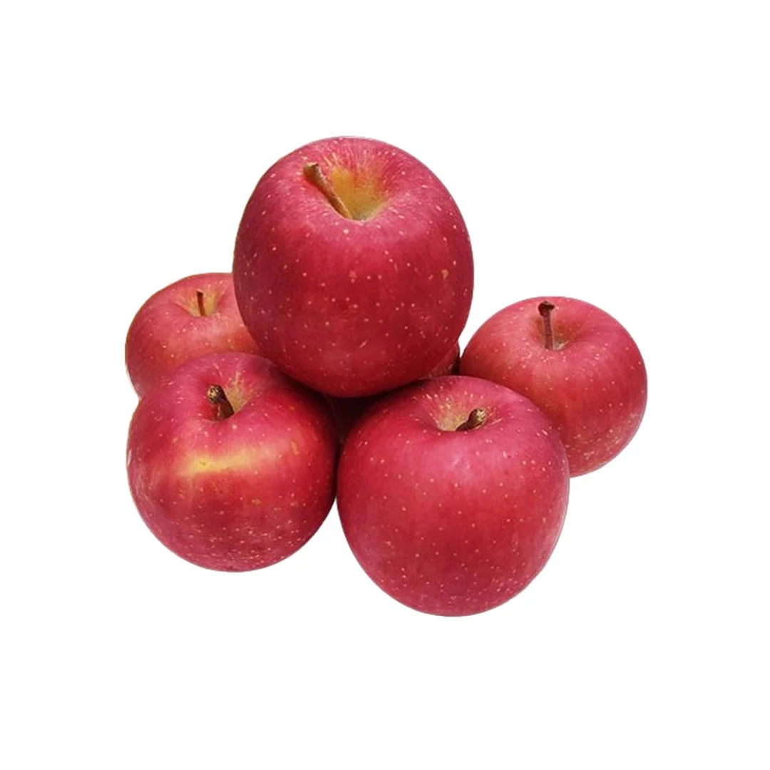 product-main-image