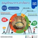 Thumbnail 2 of nimnim ข้าวไข่ขาว(แช่แข็ง) ใยอาหารและโปรตีนสูง หอมนุ่ม ไม่มีแป้ง อร่อย (1 กล่อง ส่งแช่แข็ง)