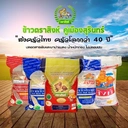 Thumbnail 3 of ตราสิงห์ ข้าวหอมมะลิ ฤดูกาล 2564-65 สุรินทร์ เกรดส่งออก ปลอดสาร 5 กก. แพ็ค 3 ถุง