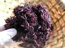 Thumbnail 3 of ข้าวอินทรีย์ ตราข้าวคุณนาย ไรซ์เบอรี่  1 KG. 1 ชิ้น SET A