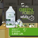 Thumbnail 3 of กรีนพลัส น้ำยาถูพื้น กลิ่นกรีนฟอเรส (สีเขียว) 3,800มล.