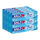 Thumbnail 1 of ซอลส์ ยาสีฟัน สูตรเฟรช แจเปนนิส มิ้นท์ 40 ก. x 12